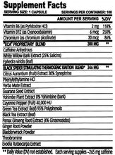 Load image into Gallery viewer, Black Spider