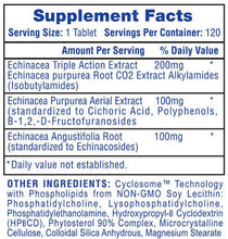 Load image into Gallery viewer, Echinacea