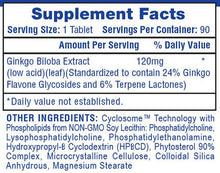 Load image into Gallery viewer, Gingko Bilboa