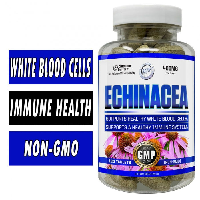 Echinacea